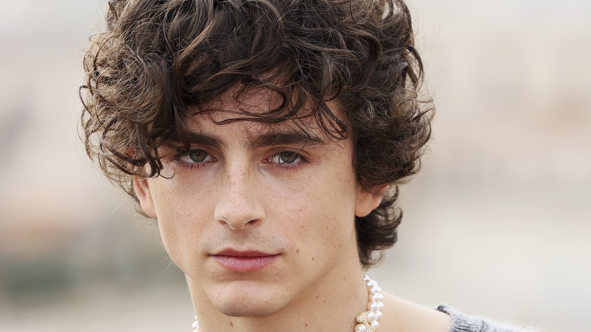 Timothée Chalamet Speelt Bob Dylan In Nieuwe Biopic