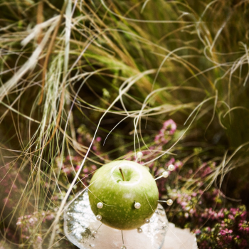 onderzoek-wijst-uit-deze-15-groenten-en-fruitsoorten-bevatten-de-minste-pesticiden-331659