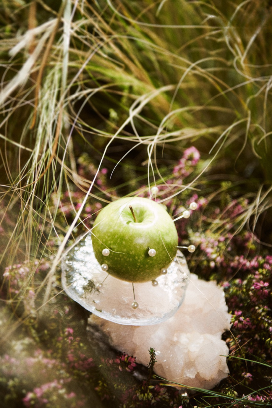 onderzoek-wijst-uit-deze-15-groenten-en-fruitsoorten-bevatten-de-minste-pesticiden-331659