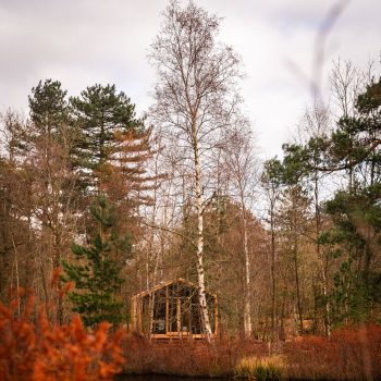 last-minute-weekendje-weg-in-eigen-land-dit-zijn-de-mooiste-natuurplekken-in-drenthe-om-te-ontdekken-325624