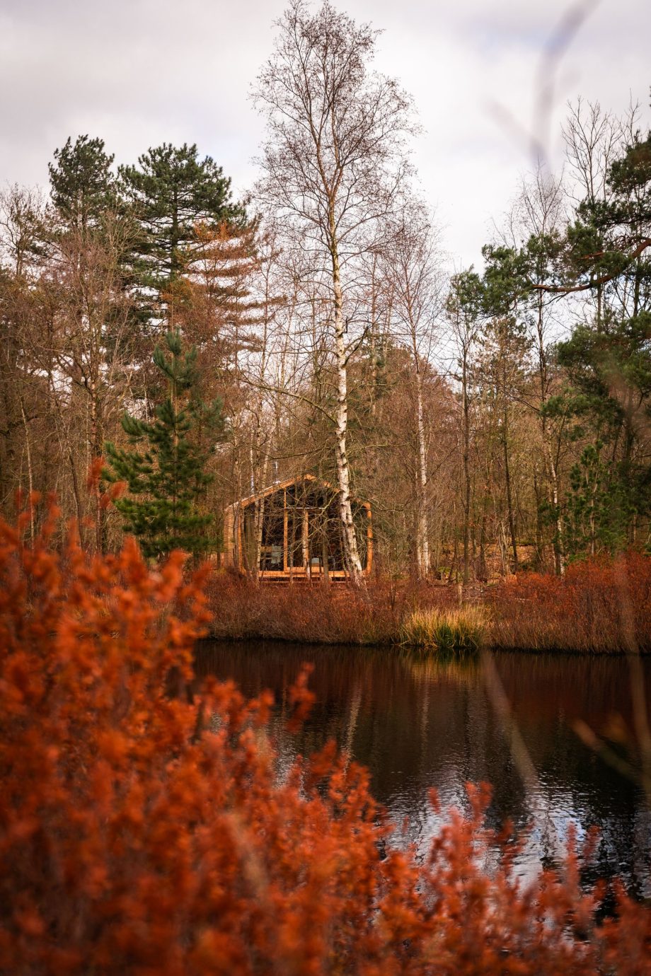 weekendje-weg-naar-drenthe-dit-zijn-de-mooiste-natuurplekken-om-te-ontdekken-325624